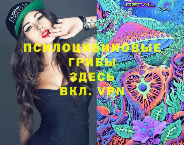 не бодяженный Абаза