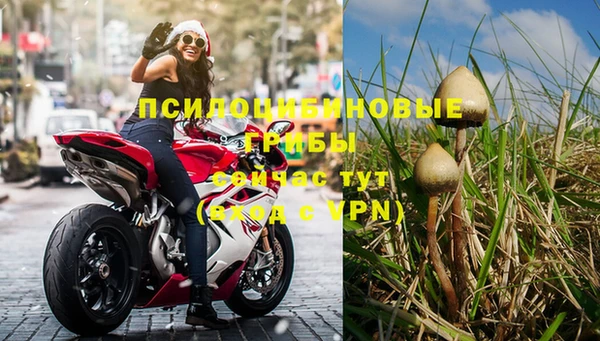 не бодяженный Абаза